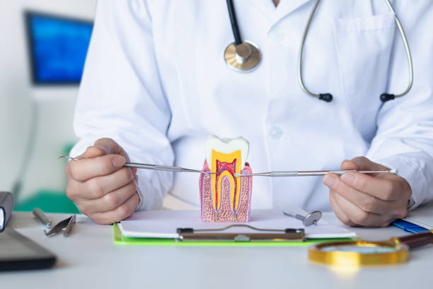 Emergency Dentist Open Today in OH